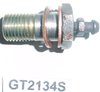 GT2134S